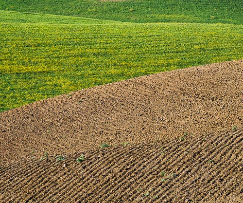 Campi lavorati e seminati nella piana di Catania