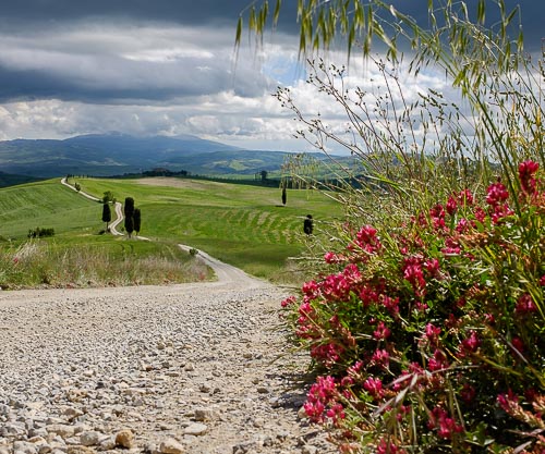 Colline della Val d'Orcia nei pressi di Pienza