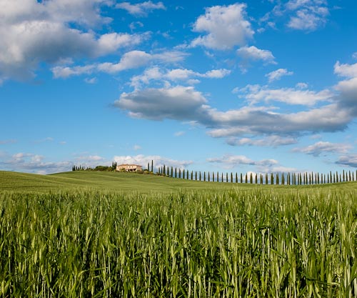 Podere nelle Crete Senesi in Toscana