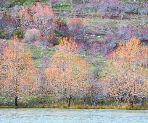 Lago Cartolari, piccolo invaso artificiale nel Parco dei Nebrodi