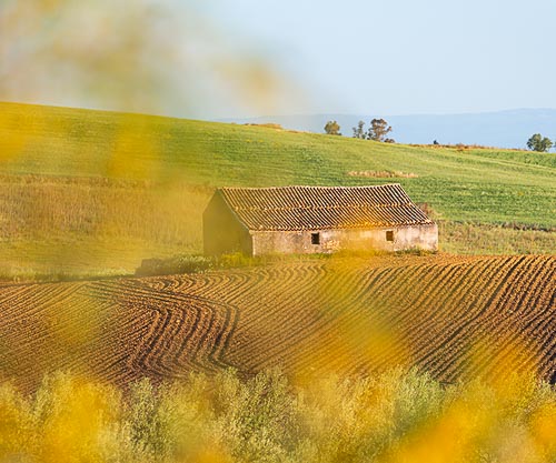 Casolare nelle campagne di Centuripe illuminato dal tramonto