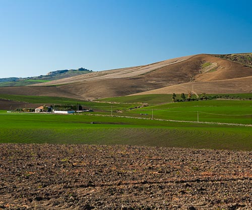 Campagna siciliana durante la semina del frumento