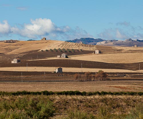 Campagna siciliana nei pressi di Catenanuova