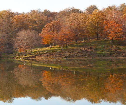 Riflessi autunnali sulle rive del Lago Maulazzo