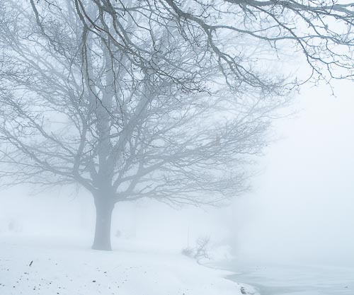 Riva di un lago avvolta da nebbia e neve