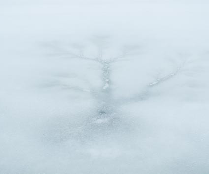 Disegno nel ghiaccio sul Lago Maulazzo che ricorda un albero