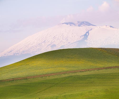 Campo di frumento nella piana di Catania, zona Franchetto